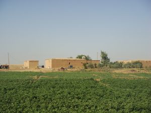 하사카 근교의 농촌