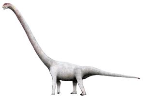 다산푸에서 발견된 O. tianfuensis 골격