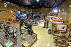 엘리 편의 시애틀 1일차 과거에서 등장한, 와이오밍 주 공룡 센터. 외관은 오리지널이며, 와이오밍 주립 박물관 등도 참고된 듯하다.