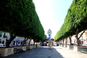 개조 및 나무 제거 전의 피아자 앙투안 드 폴