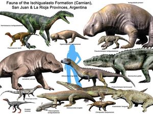 이치구알라스토 지층의 동물상