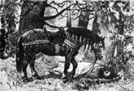 시구르드의 시체 위에서 슬퍼하는 그라니(프레드리크 산델 판 『에다』의 삽화, 1893년)