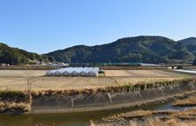 구로시오정 부근