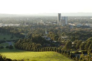 포리스트 론 메모리얼 파크, 린이 묻힌 곳