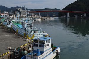 에노우라만과 에노우라 대교