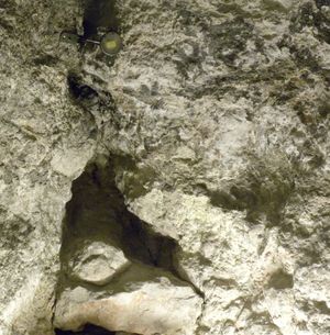 아담의 경당 아래에 있는 골고타의 자연석