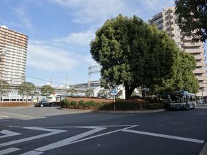 2014년 2월 역 남쪽