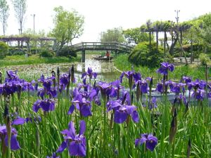수향 사와라 아야메 파크
