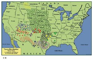 유카의 미국 주변 분포