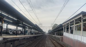 2024년의 두 플랫폼