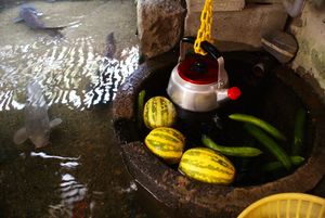 하리에구의 가바타