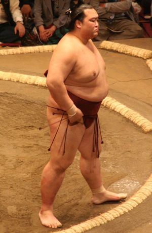 2009년 5월의 기세노사토