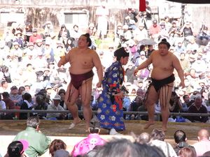 야스쿠니 신사 봉납 오즈모 세키와케 기세노사토 관, 상대는 고무스비 고에이도 관 (2009년 4월 10일 촬영)