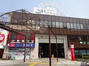 벨 세븐(2019년 4월)