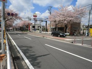 환상 4호선 도카이치바역 앞(2014년 4월)