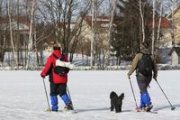2011년 3월 핀란드 케라바에서의 설피 타기