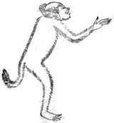 『삼재도회』의 「신발」