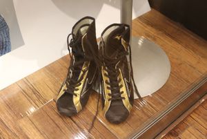 극중 사용 링 슈즈