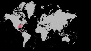 살아있는 가아류의 분포
