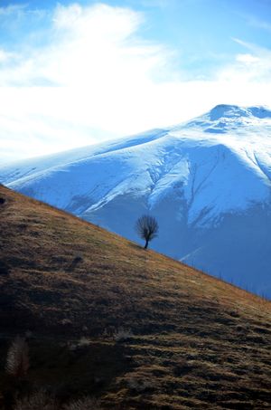 잔잔 주의 풍경, 타롬