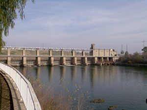 1931년에 건설된 알칼라 델 리오 댐은 과달키비르강에서 철갑상어의 상류 이동을 막았다.