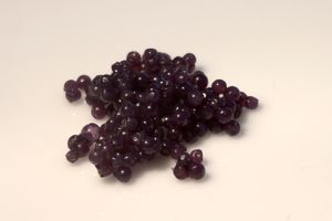 말쥐치 모조 캐비아