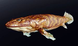 판데리크티스 복원.