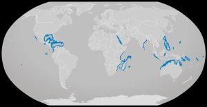 은상어 분포 지역