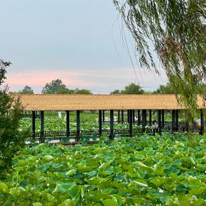 허화탕(荷花荡) 풍경구는 세 면이 호수로 둘러싸여 있으며 넓은 연꽃 밭과 가오유호(高邮湖)와 인접해 있어 독특한 생태 경관을 자랑한다.