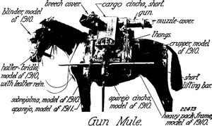 1916년경 미국 육군 75mm 팩 곡사포 포신을 노새로 수송하는 모습