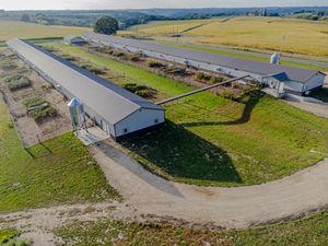 닭을 마당에서 사육하는 위스콘신주 버넌군의 농장