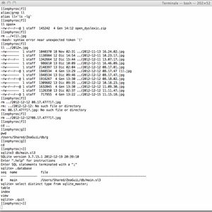 Mac OS X의 터미널 화면 (bash가 작동하는 상태)