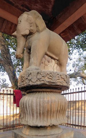 코끼리의 가능한 재구성.