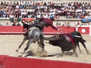 챕스를 착용한 레조네아도르
