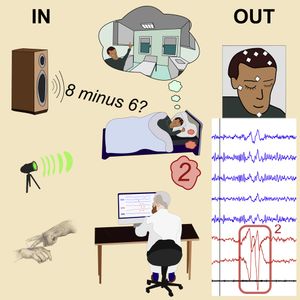 그래픽 요약 "REM 수면 중 실험자와 꿈꾸는 사람 간의 실시간 대화"