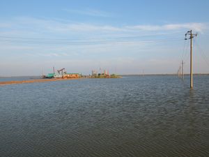 얕은 물에 있는 유정