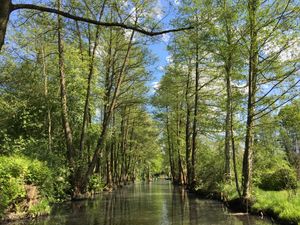 슈프레발트의 운하