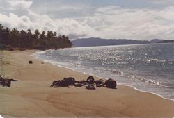 수십 년 후의 2차 세계 대전 잔해