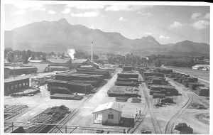 20세기 전반의 조지 제재소