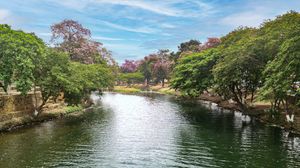 안소아테기 주 주도 바르셀로나의 네베리 강