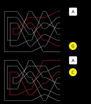 에니그마 회전자의 섞는 동작