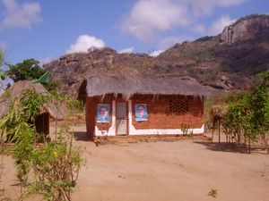 탄자니아 혁명당은 탄자니아 시골 지역에 강력한 정치적 기반을 가지고 있다.