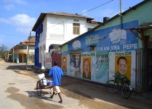 탄자니아 남부 도시 린디에 있는 당 후보들의 벽화.