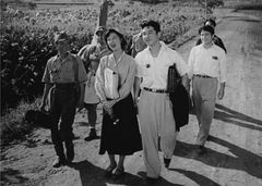 여기에 샘이 있다(1955년)