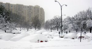 버지니아주 알링턴에 쌓인 눈 (2010년 2월 6일 촬영)