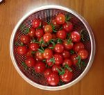 펀칭 메탈의 조리용 볼