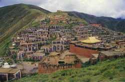 위수 티베트족 자치주 제구 읍의 주요 사원