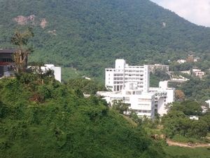 홍콩 중문 대학교런런 쇼 칼리지