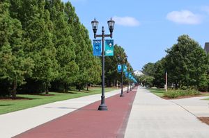 캠퍼스 중심부인 오후의 총장 산책로