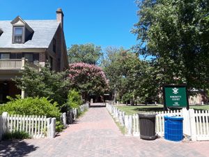 오래된 캠퍼스에 위치한 소로리티 코트